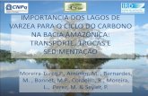 Ciclo do Carbono - ore-hybam.org · importancia dos lagos de varzea para o ciclo do carbono na bacia amazÔnica: transporte, trocas e sedimentaÇÃo moreira‐turcq,p., amorim, m.