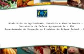 Ministério da Agricultura, Pecuária e Abastecimento - MAPA ... · O Brasil na atualidade exporta produtos de origem animal para mais de 150 países. Entre eles: UE, ... O número