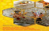  · Apicultura - Rio Grande do Sul. 2. ... gem sobre o ciclo de vida das abelhas sem ferrão; ... pela revisão e normalização das referências deste manual. Ao BIRD ...