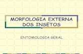 MORFOLOGIA EXTERNA DOS INSETOS - PIBID Biologia-UFAL … · II – Tegumento dos insetos Exoesqueleto: cutícula + epiderme + membrana basal Invaginações do exoesqueleto: - Apódema