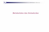 Metabolismo dos Aminoácidos - bizuando.combizuando.com/material-apoio/bioq2/14-Metabolismo-de-aminoacidos.pdf · Além de constituintes das proteínas, os aminoácidos são também