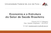 Economia e a Estrutura do Setor de Saúde Brasileiro...excesso de incentivos governamentais para o mercado privado de saúde, por outro, contribuem para que a participação do gasto