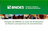 Atuação do BNDES no setor de fertilizantes no Brasil e ...cntq2.hospedagemdesites.ws/wp-content/uploads/2014/08/Palestra... · Missão e Visão Missão Promover o desenvolvimento