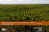 Como Investimentos Florestais pode ser trazer beneficios ...cpcf.com.br/wp-content/uploads/2018/09/T10_Tim_Cayen.pdf · Força de trabalho diversificada: Engenheiros Florestais, Gestores