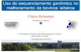 FlávioSchenkelsbmaonline.org.br/sbma2015/palestras/flavio_schenkel.pdf · Colaboração com o projeto “Genoma de 1000 touros” Processamento Dados brutos de sequência WestGrid