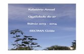 Relatório Anual Qualidade do ar Biênio 2013 - 2014 SECIMA ...monitoramentodoar.secima.go.gov.br/wp-content/uploads/2018/07/... · Os padrões de qualidade do ar indicam as concentrações