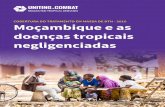 COBERTURA DO TRATAMENTO EM MASSA DE DTN - 2016 Moçambique e as doenças ... · Moçambique e as doenças tropicais negligenciadas | 5 Recomendações Recomendações a Moçambique