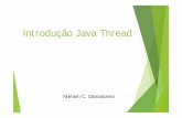 Introdução Java Thread - ncdd.com.br · Introdução O que é uma thread ? — Uma thread (também denominada contexto de execução ou processo peso-leve) é um fluxo sequencial
