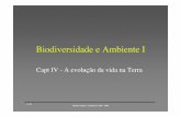 Biodiversidade e Ambiente I - webpages.fc.ul.ptwebpages.fc.ul.pt/~maloucao/Aula 14BA.pdf · 11-05 Biodiversidade e Ambiente I 2005 - 2006 Plantas vasculares com semente •O papel
