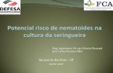 São José do Rio Preto SP 03-02-2017 · Meloidogyne exigua –nematoide das galhas ... Pratylenchus spp. –apenas um ovário [monodelfas]. (Moense Perry, 2009) Ocorrência de nematoides