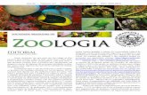 SOCIEDADE BRASILEIRA DE Zoo logiasbzoologia.org.br/uploads/1545316077-bol127dez2018.pdf · publicação da nova versão do SISGEN. Ainda com relação às determinações da Lei de