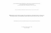 Métodos de Valoração Econômica Ambiental e Danos …livros01.livrosgratis.com.br/cp010465.pdf · ANA DENISE RIBEIRO MENDONÇA MALDONADO Métodos de Valoração Econômica Ambiental