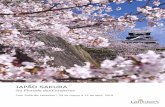 JAPÃO SAKURA · Visitar o Japão na época da florada das cerejeiras é um ... de arte brilha majestosamente às margens do lago que compõe o belo jardim oriental ...