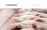 Suínos - Roxell - HomeSistemas de comedouros As explorações modernas de suínos operam em uma escala maior e vendem seus produtos em um mercado muito competitivo. Para terem sucesso