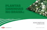 E-book MPD Vassourinha-De-Botao - Boas Práticas Agrícolas · Este cenário preocupante nos motivou a criar este e-book, que auxilia na identiﬁcação desta espécie daninha. A