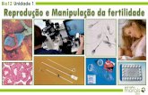 Bio12 Unidade 1 Reprodução e Manipulação da fertilidadejcmorais.com/documentos/12Bio_unidade1B.pdf · morais josé carlos ... principais factores de infertilidade. Afecta a produção