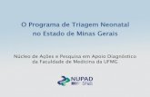 O Programa de Triagem Neonatal no Estado de Minas Gerais · Uma ação preventiva que permite fazer o diagnóstico de diversas doenças congênitas ou infecciosas, assintomáticas