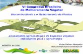 VI Congresso Brasileiro de Melhoramento Vegetal · dende cana • EMDS - Ecosystem ... 2006 . (*) Área considerada no estudo. (**) Relativo a área do país Área considerada no