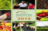 BALANÇO SOCIAL 2015 - Emater-MG, a melhor Empresa do ... Social.pdf · Coerente com a missão de promover o ... dução agrícola é de alimentos in natura. ... A Empresa apoia e