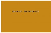 GADO BOVINO - adapcde.org · Se a causa do problema não for óbvia, ou se os primeiros cuidados prestados não ... (suficientemente grandes e de formato adequado), ou outras fontes