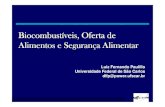 Biocombustíveis, Oferta de Alimentos e Segurança Alimentar · Paraguay Guatemala El Salvador ... Comércio internacional e o selo sócio-ambiental ... Geração de empregos