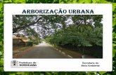 ARBORIZAÇÃO URBANA - Prefeitura de Sorocabameioambiente.sorocaba.sp.gov.br/educacaoambiental/wp-content/... · PURIFICAÇÃO DO AR/ ABSORÇÃO DE CARBONO 6 CO2 + 12 H20 C6H12O6