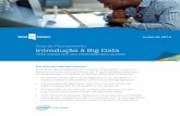 Uma introdução a Big Data - intel.com.br · de valor agregado e serviços (como gestão, treinamento ... incluem a plataforma SAP HANA* (desenvolvida em conjunto pela Intel e SAP),