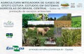 Clique para editar o estilo do subtítulo mestre - sbcs.org.br · COP 15 (2009) - NAMAs 2020 Desaceleração do desmatamento no Cerrado - 104 milhões ... Preparo de solo C (Mg/ha)