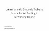 Um resumodo Grupode# Trabalho# Source#PacketRou7ng#in ...ceptro.br/spring_overview_nic.pdf · Missão# • Iden7ﬁcar#problemas#técnicose# operacionais#urgentes#na#Internete# propor#soluções.
