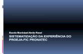Escola Municipal Abrão Rassi SISTEMATIZAÇÃO DA …forumeja.org.br/.../forumeja.org.br.go/files/anexo1_abraorassi.pdf INTRODUÇÃO A escola dentro do Proeja FIC/Pronatec Docentes
