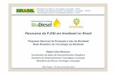 Panorama da P,D&I em biodiesel no Brasil143.107.4.241/download/documentos/4seminbioenergia/rafaelmenezes.pdf · Rede Brasileira de Tecnologia de Biodiesel ... Empresa Brasileira de