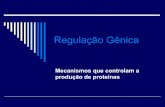 Regulação Gênica - jaguar.fcav.unesp.brjaguar.fcav.unesp.br/download/deptos/biologia/Manoel_Victor/... · 3 tipos de genes operador 2 tipos de mutações estrutural de expressão.