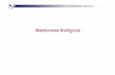 Membranas Biológicas - USPeleonora/2-Membranas.pdf · O termo “mosaico”significa a coexistência de dois componentes sem a existência de interações fortes que provoquem alterações