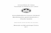 Imunodeficiência Comum Variável: Manifestações ...repositorio.ul.pt/bitstream/10451/5169/1/634978_Tese.pdf · Universidade de Lisboa Faculdade de Medicina de Lisboa Imunodeficiência