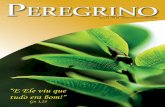 Ano 14 - Nº 24 - Edição Janeiro/Junho 2016 · A Revista Peregrino resgata nesta edição a diver- ... Por fim, é necessário cultivar uma espiritualidade ecológica, sa-bendo