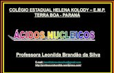 Professora Leonilda Brandão da Silva · •Nos ácidos nucleicos, os nucleotídeos estão sem-pre unidos entre si, formando longos filamentos os ... momento, alguns de seus genes