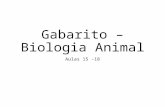 Gabarito – Biologia Animal · PPT file · Web viewGabarito – Biologia Animal Aulas 15 -18 Grande diversidade de tipos celulares, substância intersticial abundante e rica vascularização.