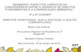 SEMINÁRIO “ASPECTOS JURÍDICOS DA CONVERGÊNCIA ENTRE A GARANTIA DE … · seminÁrio “aspectos jurÍdicos da convergÊncia entre a garantia de direitos fundamentais e a conservaÇÃo