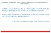 COMMODITIES AGRÍCOLAS E PRODUÇÃO CAPITALISTA DE ESPAÇO ... · Grosso do Sul 205 Soja, milho, pecuária 3 –1995-2001 Tocantins, Maranhão 80 Soja, milho ... Agência de Desenvolvimento