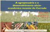 A agropecuária e o desenvolvimento sócio-econômico recente ...simposio.cpac.embrapa.br/palestras/conferencia3/conferencia3... · Incluía partes do Triângulo Mineiro, do sudoeste