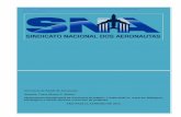 SNA- Mapeamento Biopsicossocial do Aeronauta Brasileiro · SNA- Mapeamento Biopsicossocial do Aeronauta Brasileiro Secretaria de Saúde do Aeronauta Autoria: Cmro Mauro S. Matias