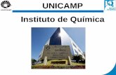 UNICAMP Instituto de Química · nesse curso, que não possui habilitações, são formados profissionais para atuar no Setor Industrial. Mas também podem atuar como professor do
