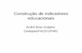 Construção de indicadores educacionais - Ernesto Amaral · impacto sobre o crescimento e desenvolvimento econômicos. • BUCHMANN C., HANNUM, E. Education and ... Espanha Chile