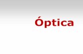 Óptica - qf.ff.up.ptqf.ff.up.pt/fa/pdf/fa-t12.pdf · Os materiais absorvem luz polarizada que os atravessa de duas formas diferentes. DICROISMO refere-se à dependência da absorção