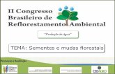 TEMA: Sementes e mudas florestais - CEDAGRO ES · 2012-11-22 · menor custo de transporte. ... redução dos danos na semente ou nas plântulas pela salinidade do meio de cultivo.