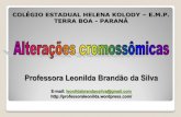 Professora Leonilda Brandão da Silva · centrômero. Se isso ocorrer em células germinativas, que sofrem meiose, os cromossomos homólogos podem não se separar, deixando de migrar