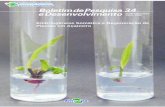 Embriogênese Somática e Regeneração de Plantas em Açaizeiro · Embriogênese Somática e Regeneração de Plantas em Açaizeiro13 (A), o número de embriões somáticos por explante