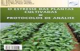 Dr. Edilson Ramos Gomes Dr. Enrique Alonso Zuñiga Drª Luz ... · ausência de metais pesados, complexos orgânicos e fitotóxicos (BAÑON et al. 2011). Segundo Leal et al. (2010),