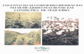 COLETIVO DO ALGODOEIRO HERBÁCEO NO SEM-ÁRIDo … · mínima de 60 dias da semeadura, sendo mais recomendado o calcario dolomítico por apresentar elevados teores de cálcio e magnésio.