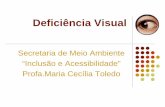Deficiência Visual no processo de Envelhecimentoarquivos.ambiente.sp.gov.br/cea/2011/12/Visual-ProfaMCecilia.pdf · Uma pessoa com Baixa Visão é aquela que possui deficiência